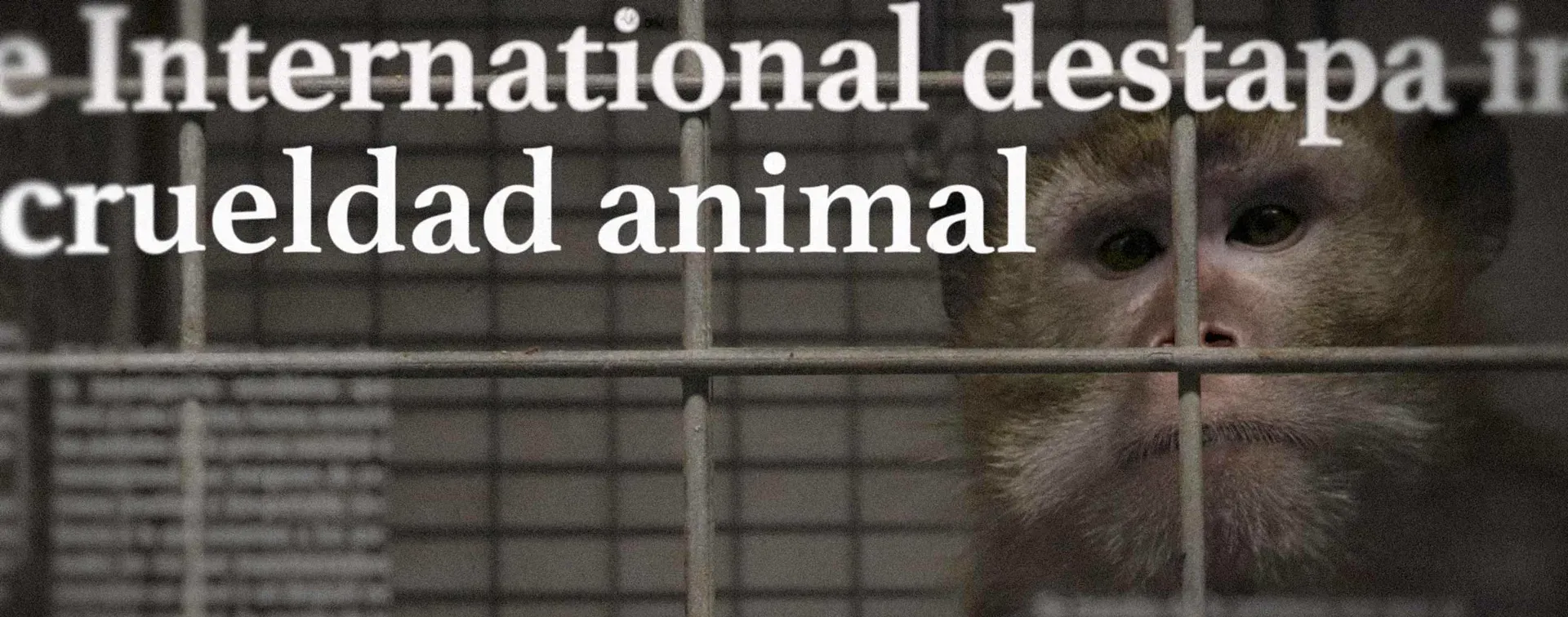 Fotograma del documental: un titular de prensa con las palabras «crueldad animal» sobre la imagen de un mono detrás de unos barrotes
