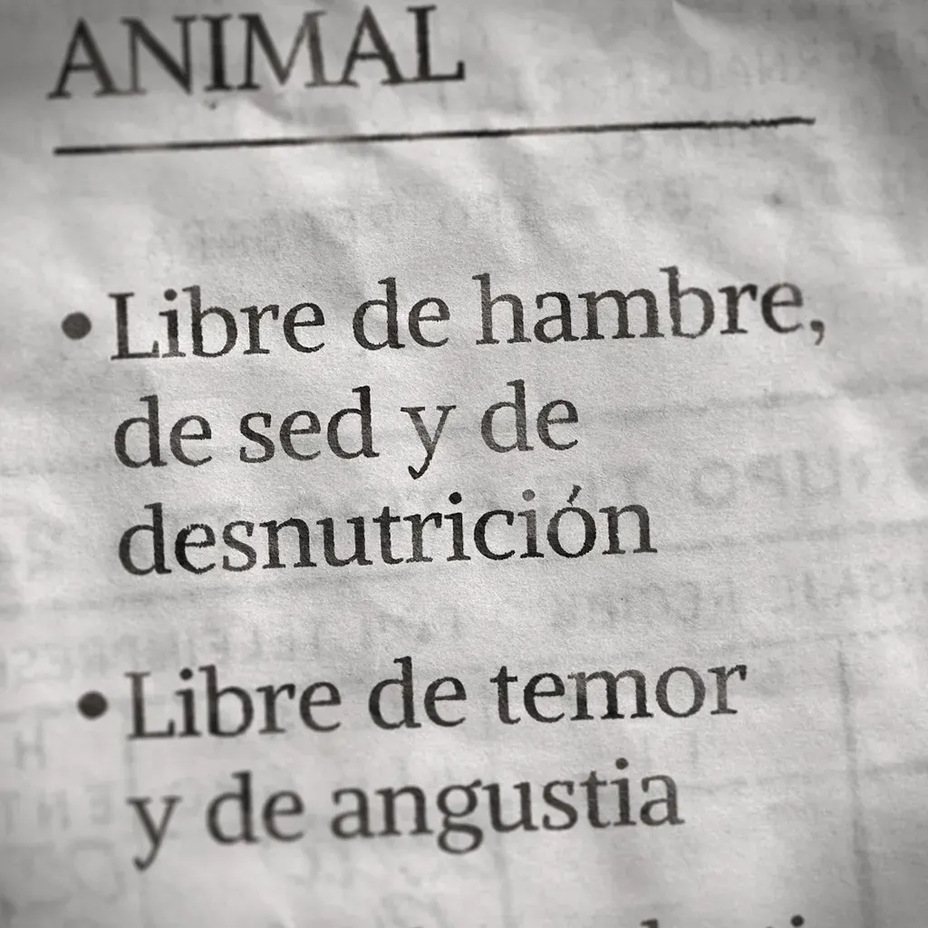 Recorte de prensa animado: «Libre de hambre, de sed y de desnutrición»